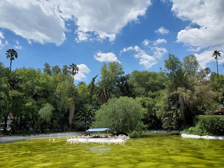 Parque México, Condesa, Mexico City/Ciudad de México, Mexico, August 15, 2021