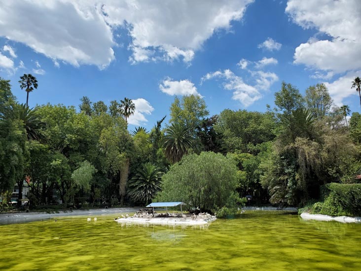 Parque México, Condesa, Mexico City/Ciudad de México, Mexico, August 15, 2021