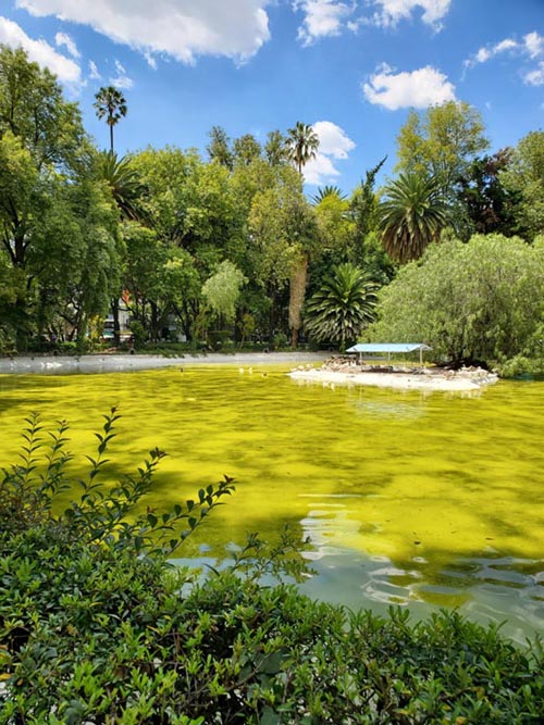 Parque México, Condesa, Mexico City/Ciudad de México, Mexico, August 15, 2021