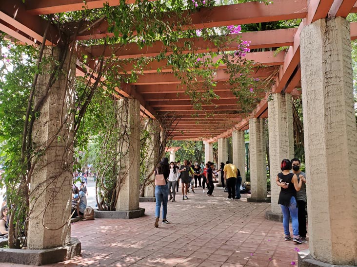 Parque México, Condesa, Mexico City/Ciudad de México, Mexico, August 15, 2021