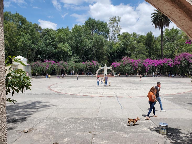 Parque México, Condesa, Mexico City/Ciudad de México, Mexico, August 15, 2021