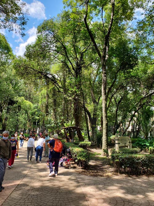 Parque México, Condesa, Mexico City/Ciudad de México, Mexico, August 15, 2021