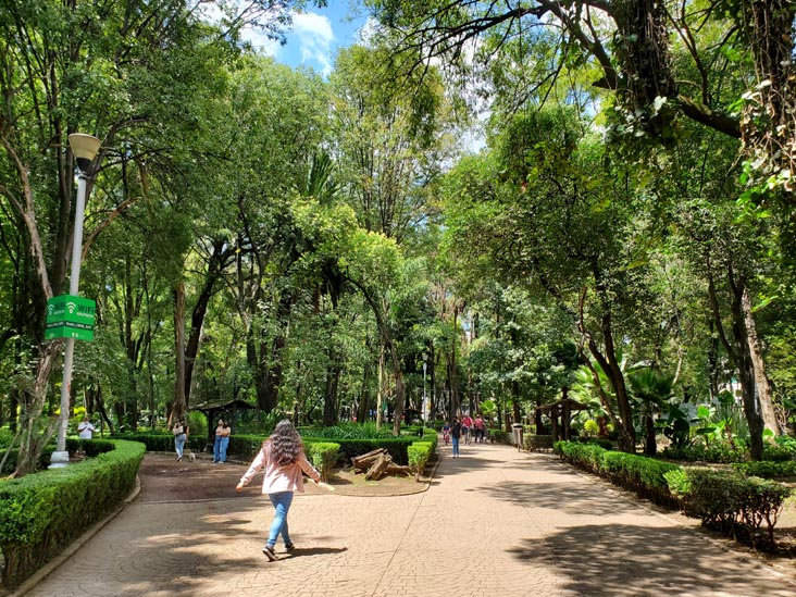Parque México, Condesa, Mexico City/Ciudad de México, Mexico, August 15, 2021