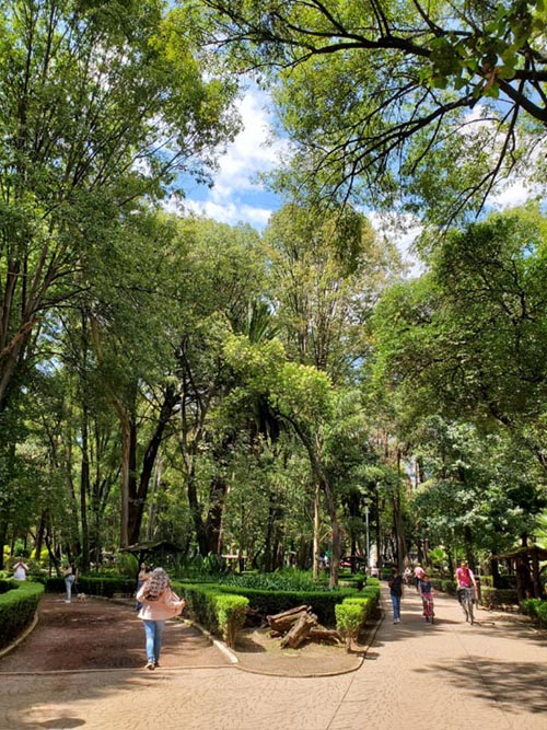 Parque México, Condesa, Mexico City/Ciudad de México, Mexico, August 15, 2021