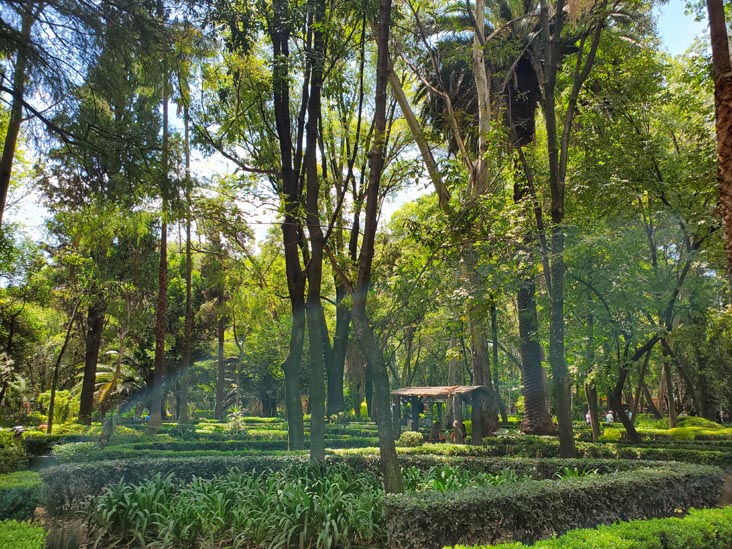 Parque México, Condesa, Mexico City/Ciudad de México, Mexico, August 15, 2021