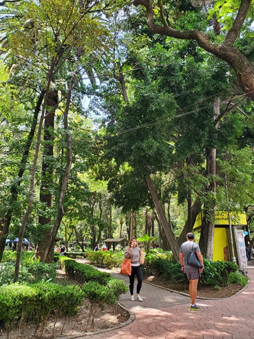 Parque México, Condesa, Mexico City/Ciudad de México, Mexico, August 15, 2021
