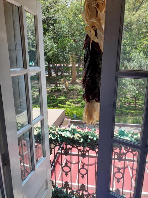 Corazón de Maguey, Coyoacán, Mexico City/Ciudad de México, Mexico, August 19, 2021