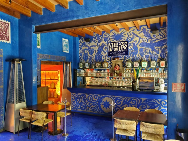 Corazón de Maguey, Coyoacán, Mexico City/Ciudad de México, Mexico, August 19, 2021