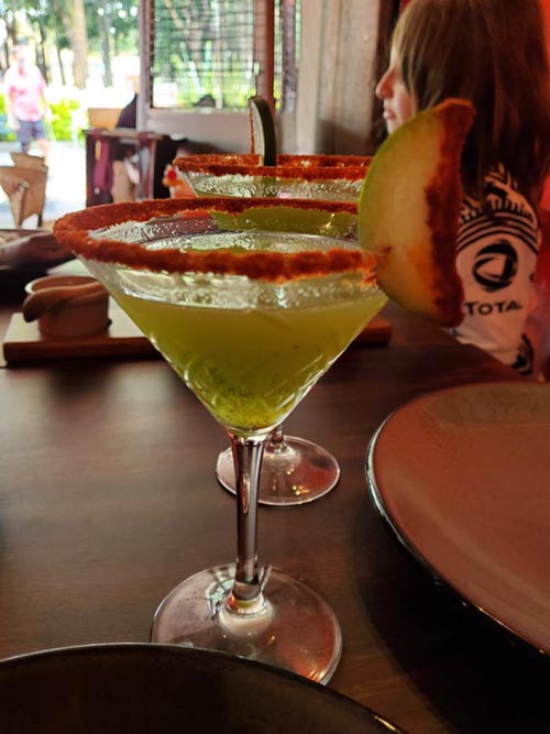 Corazón de Maguey, Coyoacán, Mexico City/Ciudad de México, Mexico, August 19, 2021