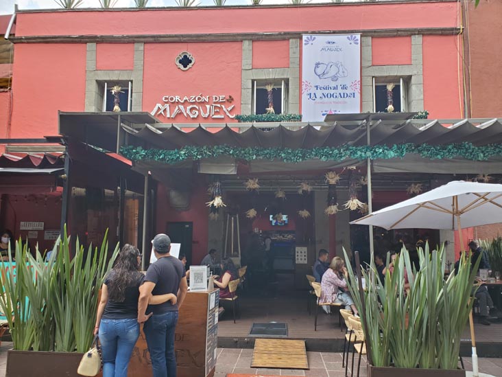 Corazón de Maguey, Jardín Centenario 9-A, Coyoacán, Mexico City/Ciudad de México, Mexico, August 19, 2021