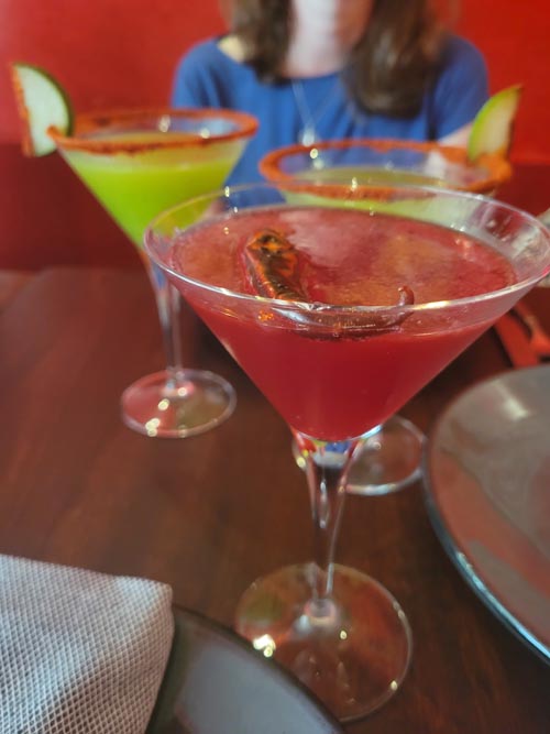 Corazón de Maguey, Coyoacán, Mexico City/Ciudad de México, Mexico, August 19, 2021