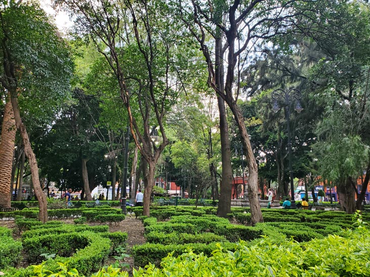Jardín Centenario, Coyoacán, Mexico City/Ciudad de México, Mexico, August 19, 2021