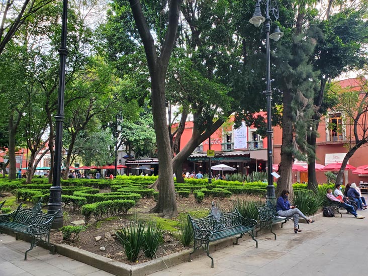 Jardín Centenario, Coyoacán, Mexico City/Ciudad de México, Mexico, August 19, 2021
