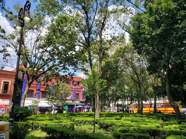 Jardín Centenario, Coyoacán, Mexico City/Ciudad de México, Mexico, August 19, 2021