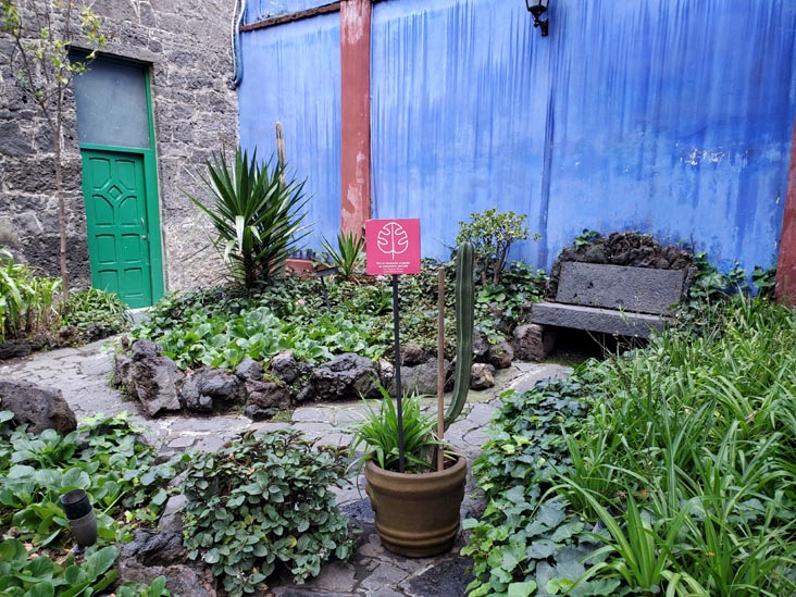 Museo Frida Kahlo, Coyoacán, Mexico City/Ciudad de México, Mexico, August 19, 2021