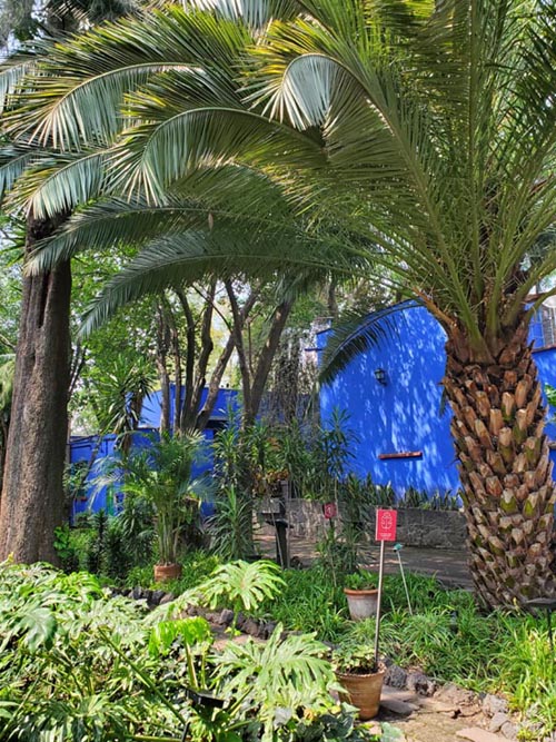 Museo Frida Kahlo, Coyoacán, Mexico City/Ciudad de México, Mexico, August 19, 2021