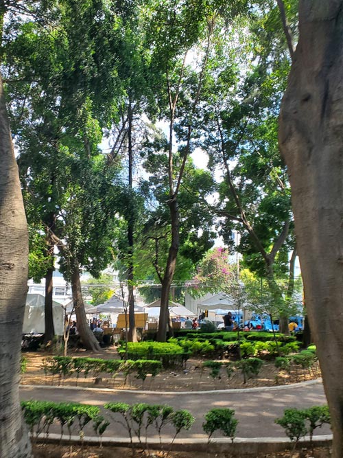 Jardín Dr. Ignacio Chávez, Colonia Doctores, Mexico City/Ciudad de México, Mexico, September 2, 2023