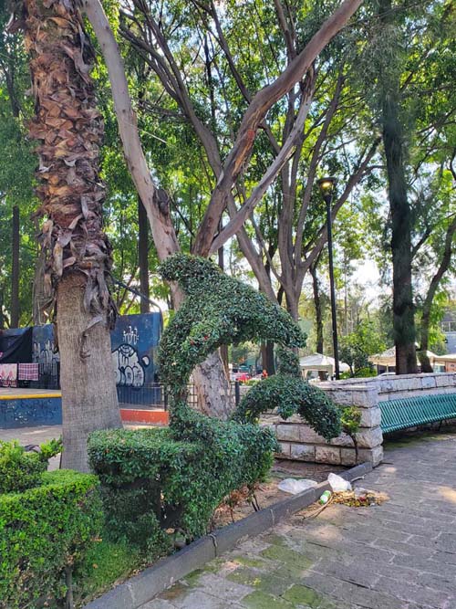 Jardín Dr. Ignacio Chávez, Colonia Doctores, Mexico City/Ciudad de México, Mexico, September 2, 2023