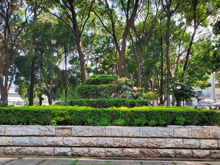 Jardín Dr. Ignacio Chávez, Colonia Doctores, Mexico City/Ciudad de México, Mexico, September 2, 2023