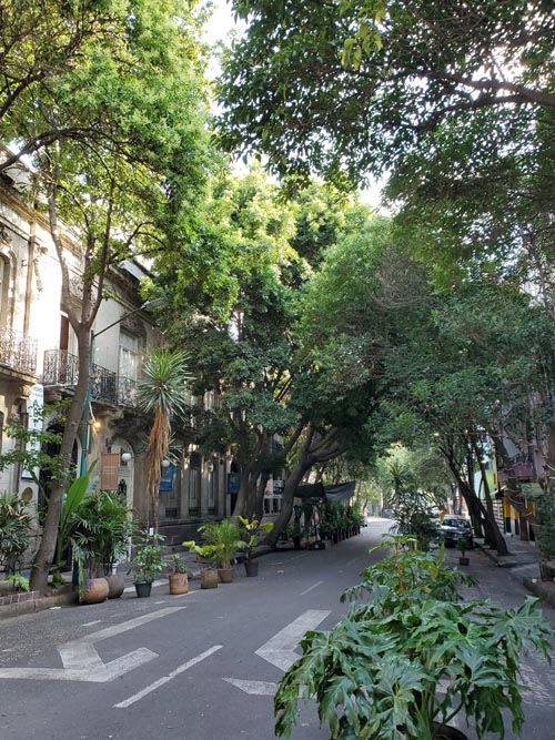 Milán and Roma, Colonia Juárez, Mexico City/Ciudad de México, Mexico, August 15, 2021