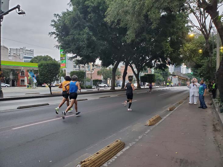 Mexico City Marathon, Maratón de la Ciudad de México, Avenida Insurgentes Sur at Calle Aguascalientes, Mexico City, Mexico, August 27, 2023