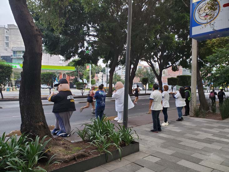 Mexico City Marathon, Maratón de la Ciudad de México, Avenida Insurgentes Sur at Calle Aguascalientes, Mexico City, Mexico, August 27, 2023