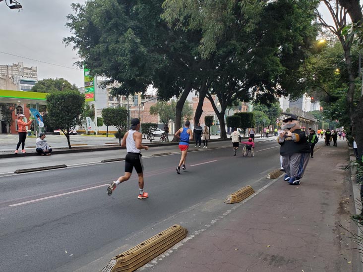 Mexico City Marathon, Maratón de la Ciudad de México, Avenida Insurgentes Sur at Calle Aguascalientes, Mexico City, Mexico, August 27, 2023