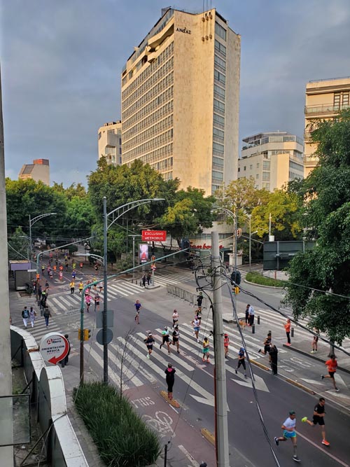 Mexico City Marathon, Maratón de la Ciudad de México, Avenida Insurgentes Sur at Calle Aguascalientes, Mexico City, Mexico, August 27, 2023