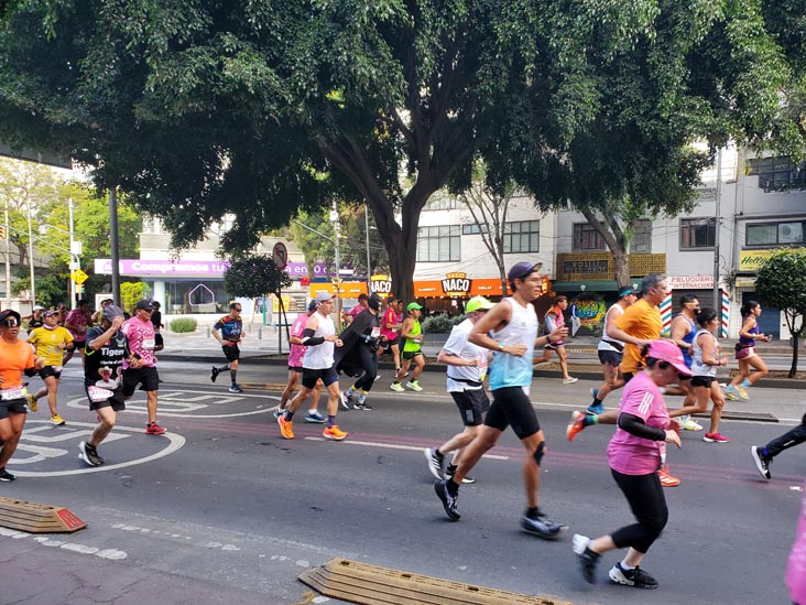 Mexico City Marathon, Maratón de la Ciudad de México, Avenida Insurgentes Sur at Calle Aguascalientes, Mexico City, Mexico, August 27, 2023