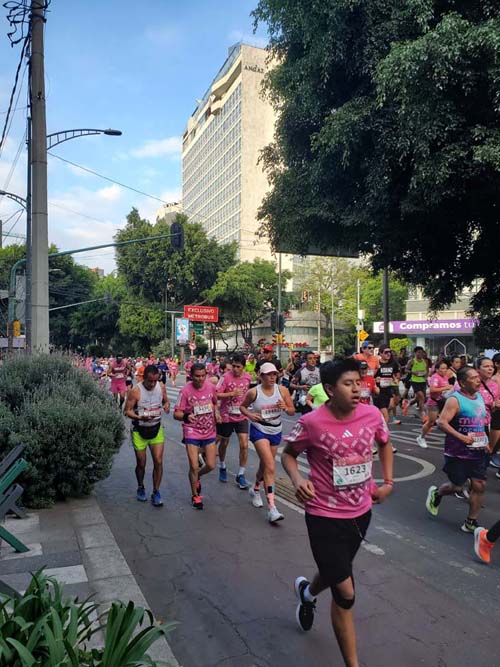 Mexico City Marathon, Maratón de la Ciudad de México, Avenida Insurgentes Sur at Calle Aguascalientes, Mexico City, Mexico, August 27, 2023