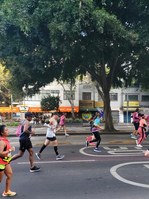 Mexico City Marathon, Maratón de la Ciudad de México, Avenida Insurgentes Sur at Calle Aguascalientes, Mexico City, Mexico, August 27, 2023