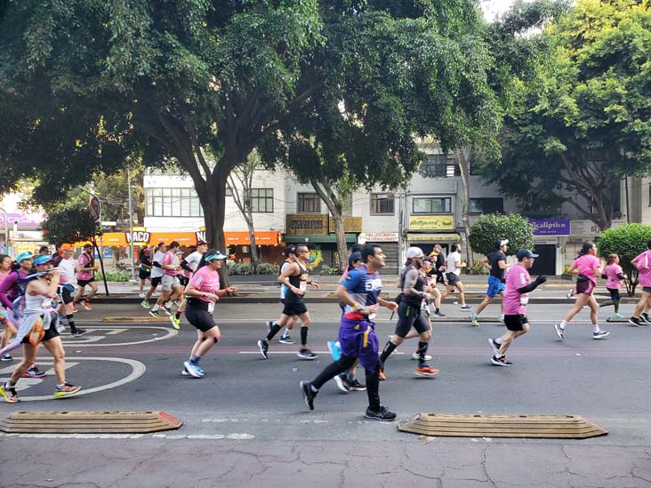 Mexico City Marathon, Maratón de la Ciudad de México, Avenida Insurgentes Sur at Calle Aguascalientes, Mexico City, Mexico, August 27, 2023