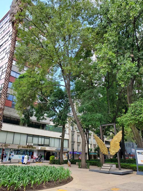 Paseo de la Reforma Near Fuente de La Diana Cazadora, Mexico City/Ciudad de México, Mexico, August 15, 2021