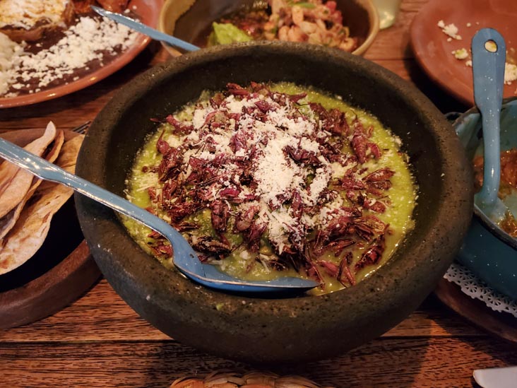 Molcajete Chapulines, Comedor Jacinta, Calle Virgilio 40, Polanco, Mexico City/Ciudad de México, Mexico, August 17, 2021