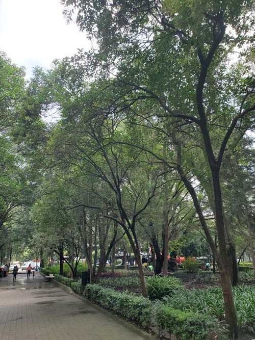 Parque Lincoln, Polanco, Mexico City/Ciudad de México, Mexico, August 5, 2021