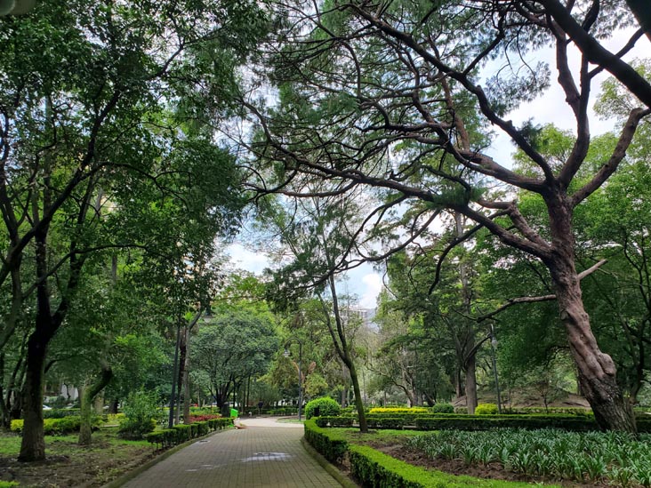 Parque Lincoln, Polanco, Mexico City/Ciudad de México, Mexico, August 5, 2021