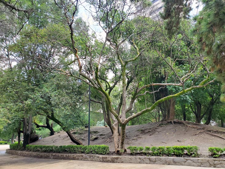 Parque Lincoln, Polanco, Mexico City/Ciudad de México, Mexico, August 5, 2021