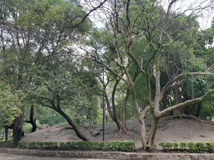 Parque Lincoln, Polanco, Mexico City/Ciudad de México, Mexico, August 5, 2021