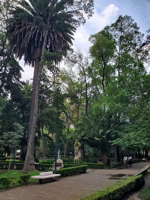 Parque Lincoln, Polanco, Mexico City/Ciudad de México, Mexico, August 5, 2021