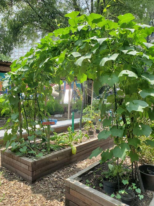 Playground, Parque Lincoln, Polanco, Mexico City/Ciudad de México, Mexico, August 5, 2021