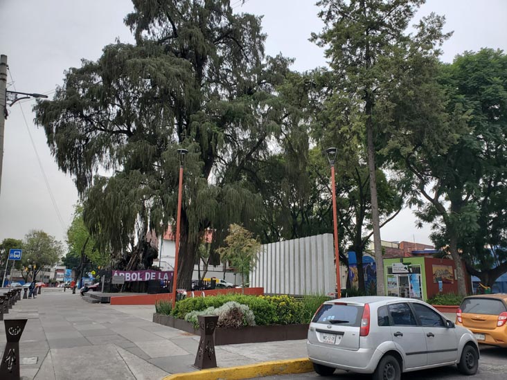 Plaza El Árbol de la Noche Triste/Plaza de la Noche Victoriosa, Calzada México-Tacuba, Popotla, Mexico City/Ciudad de México, Mexico, August 27, 2021