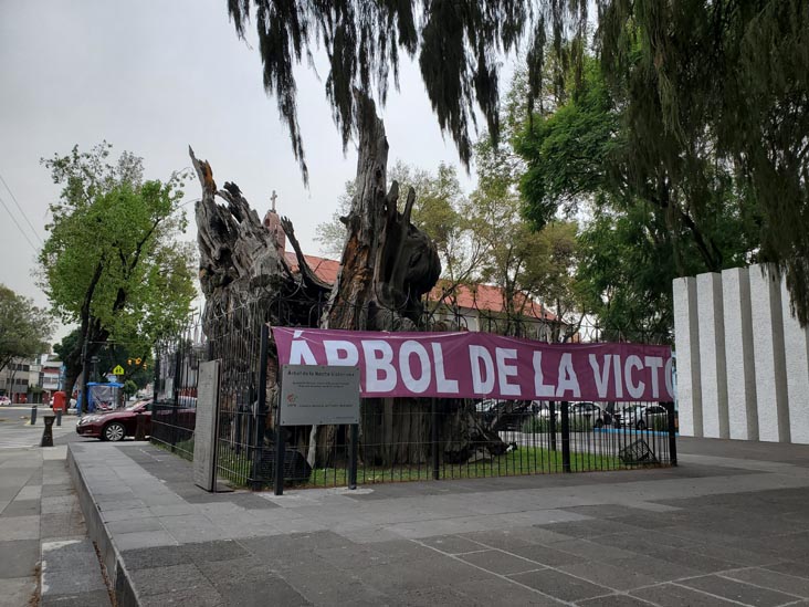 Plaza El Árbol de la Noche Triste/Plaza de la Noche Victoriosa, Calzada México-Tacuba, Popotla, Mexico City/Ciudad de México, Mexico, August 27, 2021