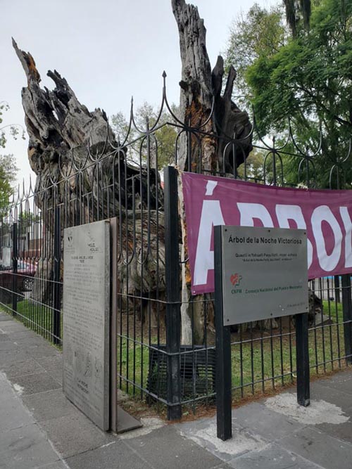 Plaza El Árbol de la Noche Triste/Plaza de la Noche Victoriosa, Calzada México-Tacuba, Popotla, Mexico City/Ciudad de México, Mexico, August 27, 2021
