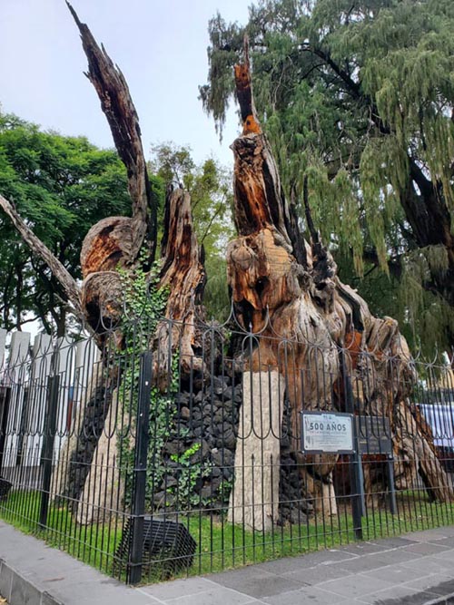 Plaza El Árbol de la Noche Triste/Plaza de la Noche Victoriosa, Calzada México-Tacuba, Popotla, Mexico City/Ciudad de México, Mexico, August 27, 2021