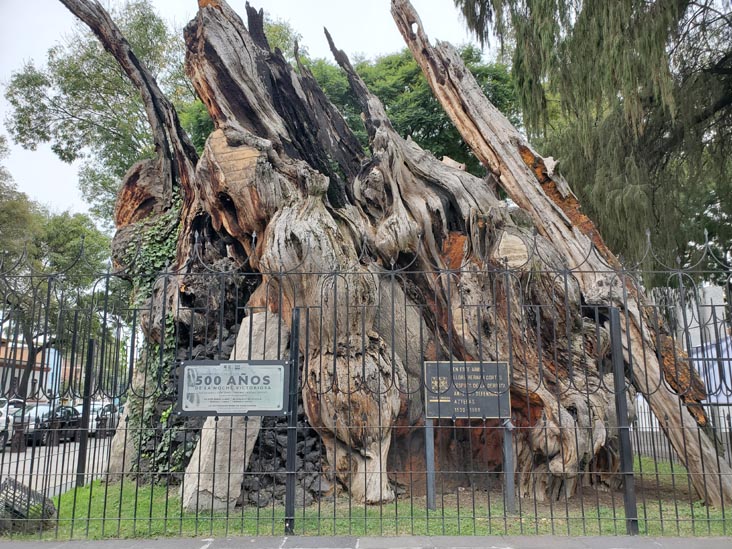 Plaza El Árbol de la Noche Triste/Plaza de la Noche Victoriosa, Calzada México-Tacuba, Popotla, Mexico City/Ciudad de México, Mexico, August 27, 2021