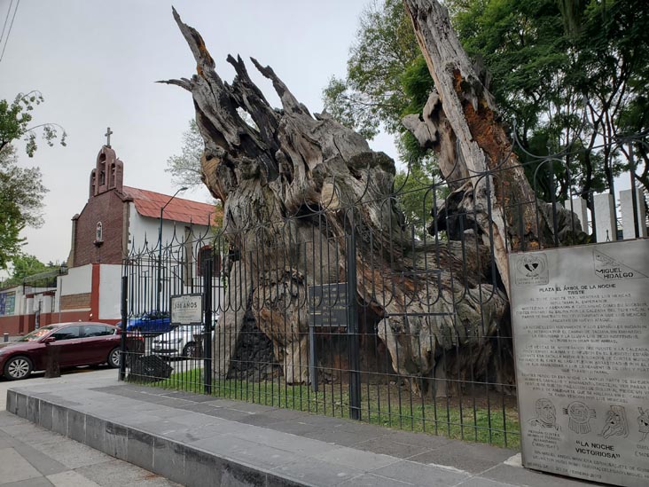 Plaza El Árbol de la Noche Triste/Plaza de la Noche Victoriosa, Calzada México-Tacuba, Popotla, Mexico City/Ciudad de México, Mexico, August 27, 2021