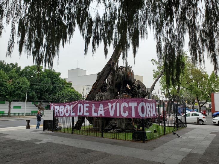 Plaza El Árbol de la Noche Triste/Plaza de la Noche Victoriosa, Calzada México-Tacuba, Popotla, Mexico City/Ciudad de México, Mexico, August 27, 2021