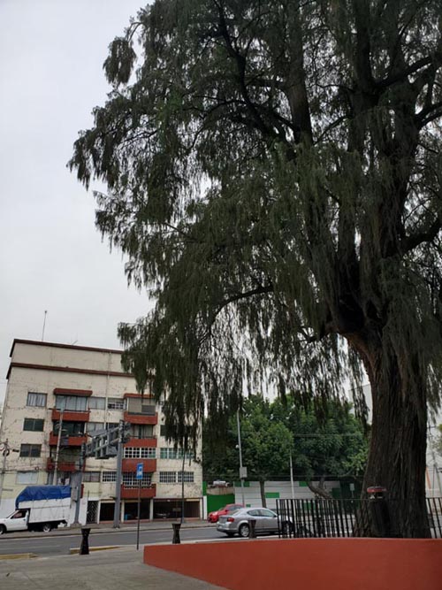 Plaza El Árbol de la Noche Triste/Plaza de la Noche Victoriosa, Calzada México-Tacuba, Popotla, Mexico City/Ciudad de México, Mexico, August 27, 2021
