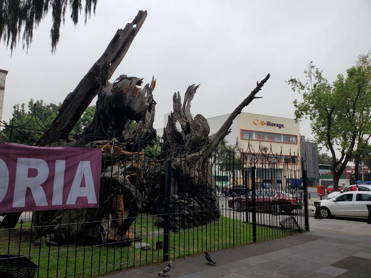 Plaza El Árbol de la Noche Triste/Plaza de la Noche Victoriosa, Calzada México-Tacuba, Popotla, Mexico City/Ciudad de México, Mexico, August 27, 2021