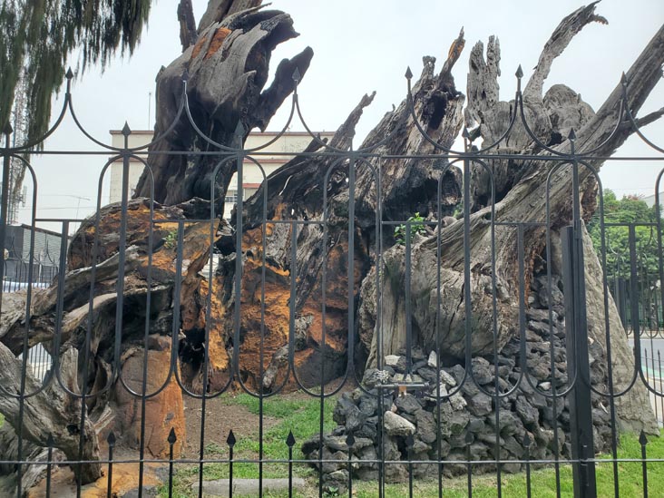 Plaza El Árbol de la Noche Triste/Plaza de la Noche Victoriosa, Calzada México-Tacuba, Popotla, Mexico City/Ciudad de México, Mexico, August 27, 2021